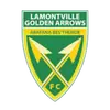 金箭